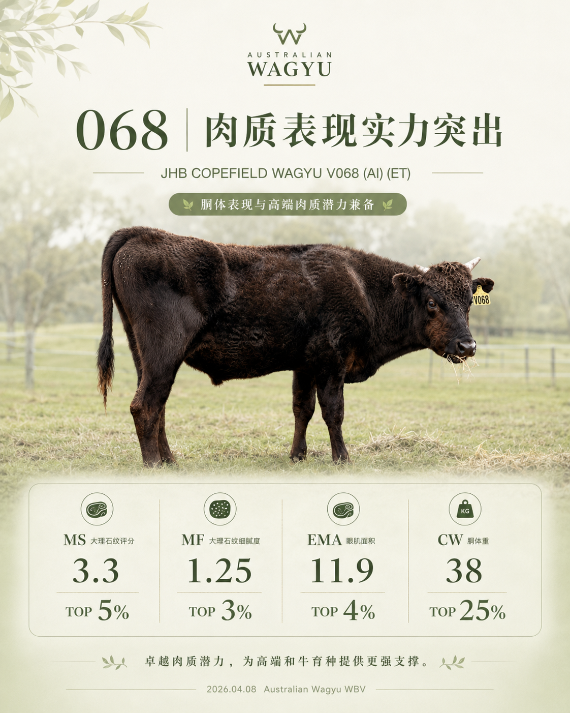 肉质表现海报