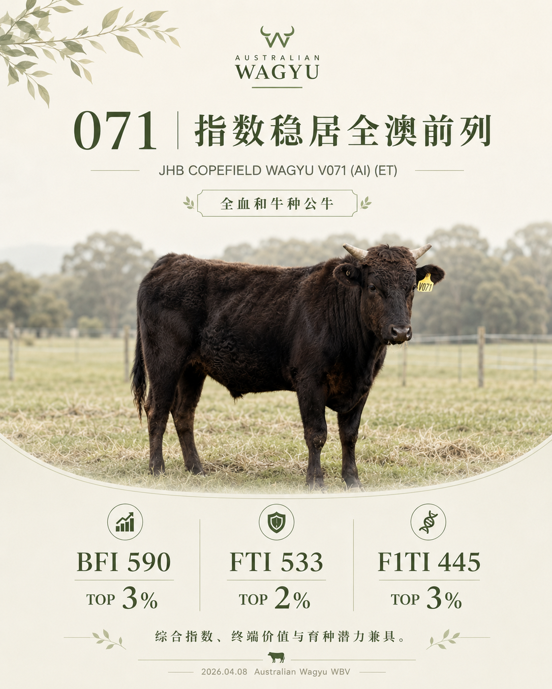 BPPF24V071 指数海报