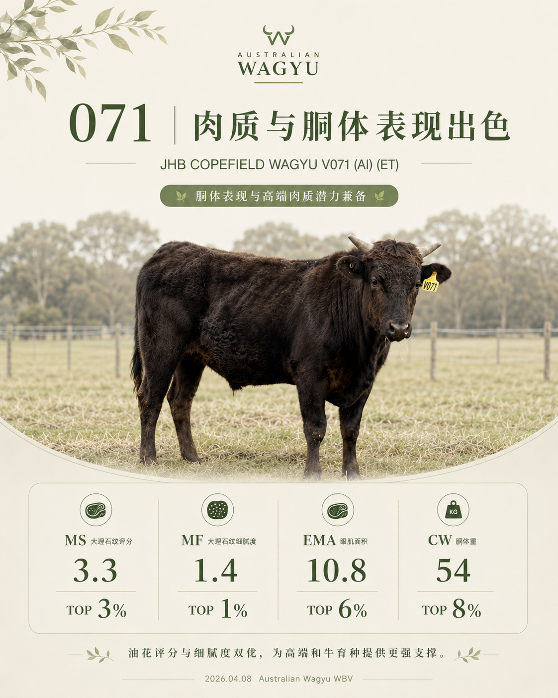 肉质表现海报